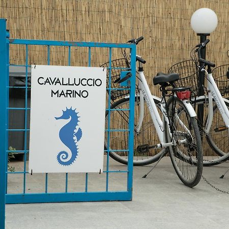 Cavalluccio Marino Apartment Favignana Ngoại thất bức ảnh