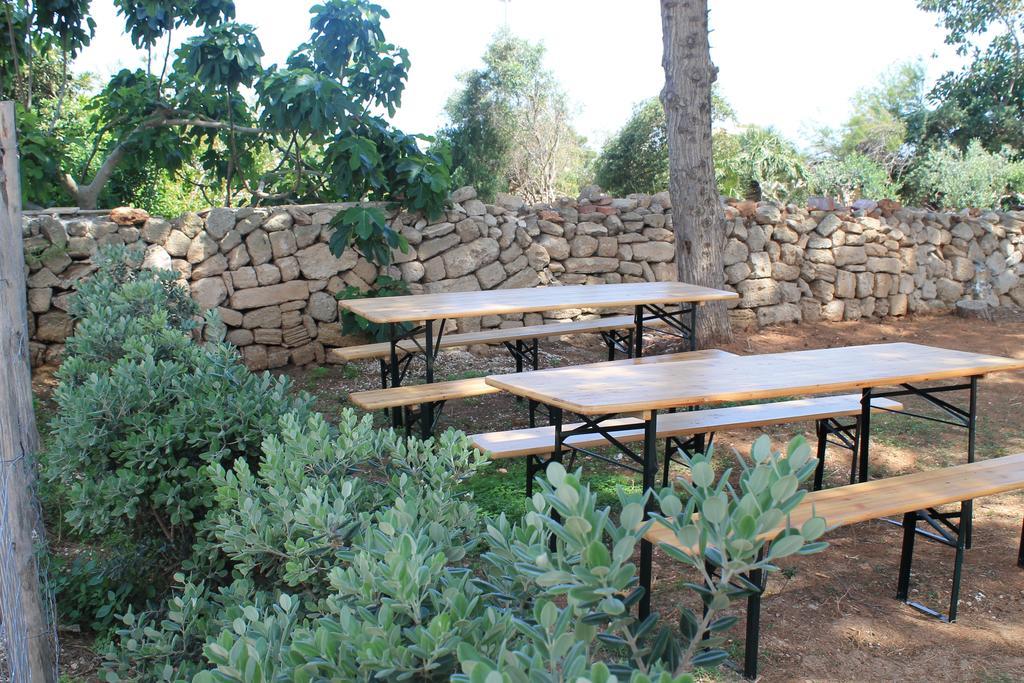 Cavalluccio Marino Apartment Favignana Phòng bức ảnh