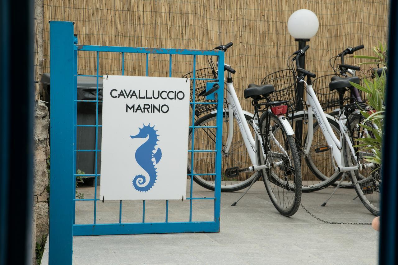 Cavalluccio Marino Apartment Favignana Ngoại thất bức ảnh